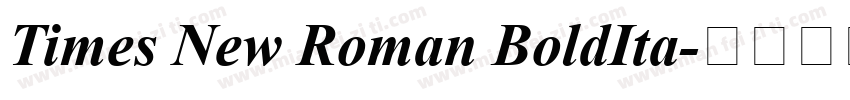 Times New Roman BoldIta字体转换
